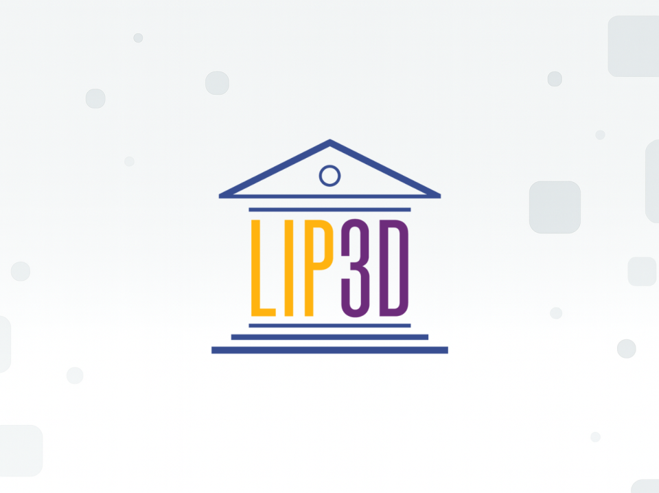 scheda_progetto_LIP3D_udanet