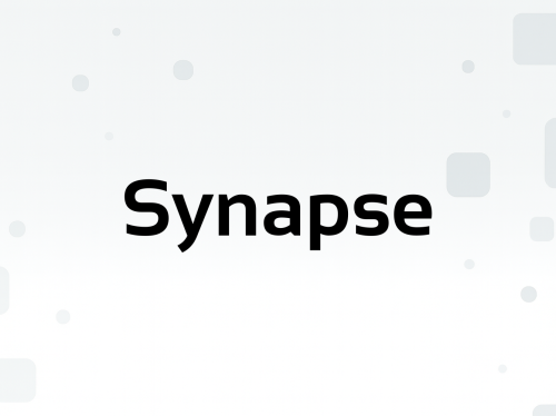 Synapse Synapse